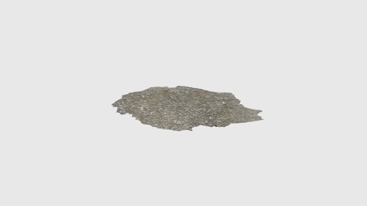Ripples 4 3D Model