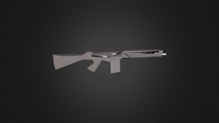 SIR 3D Model