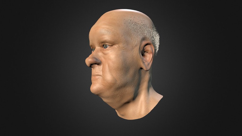 Bust, Elderly Man - Download Free 3D model by Mike Rowley (@scrumpy26 ...
