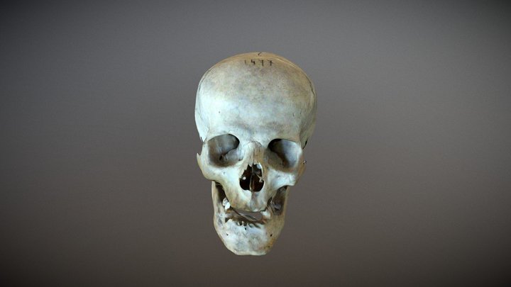 Ferrara 1477 3D Model