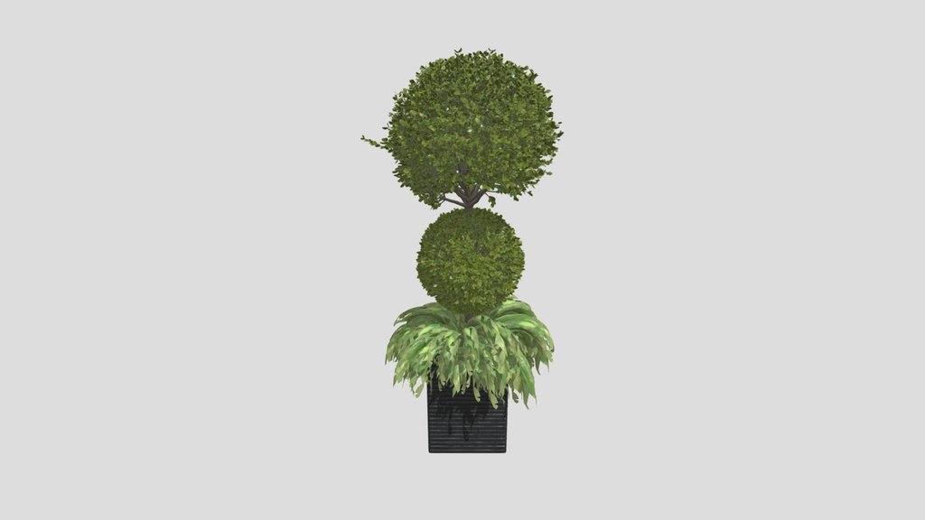 Outdoor Plant A