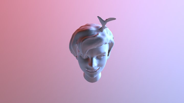 Head Assignment 3D Model
