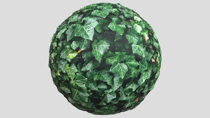 Ivy02 – Gratis 3D-model STL