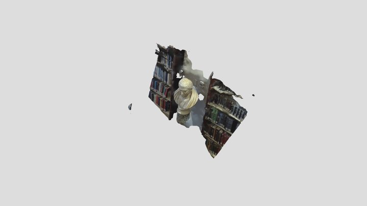 P2 3D Model
