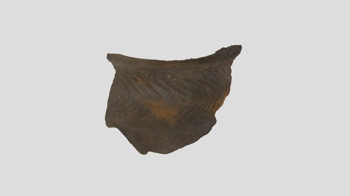 Hebridean Ware (c 3500 BC) 3D Model