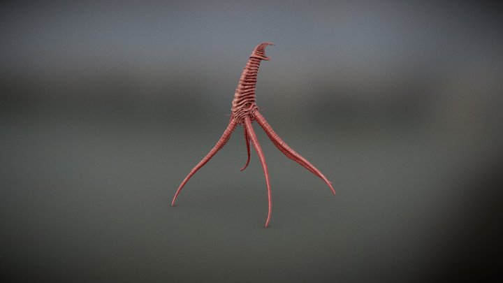 Architeuthis Phallus 3D Model