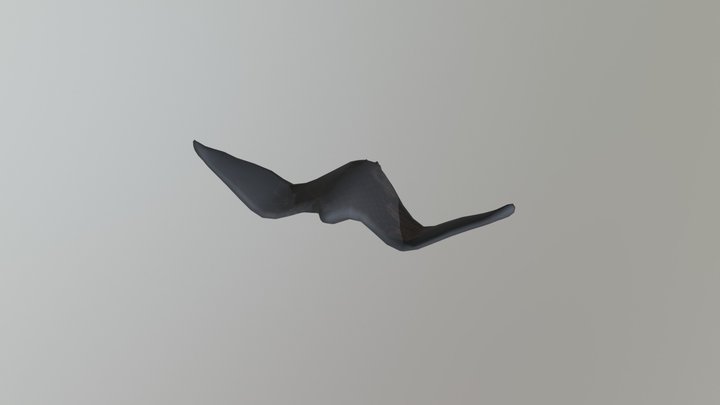 Bat Rigged 3D Model