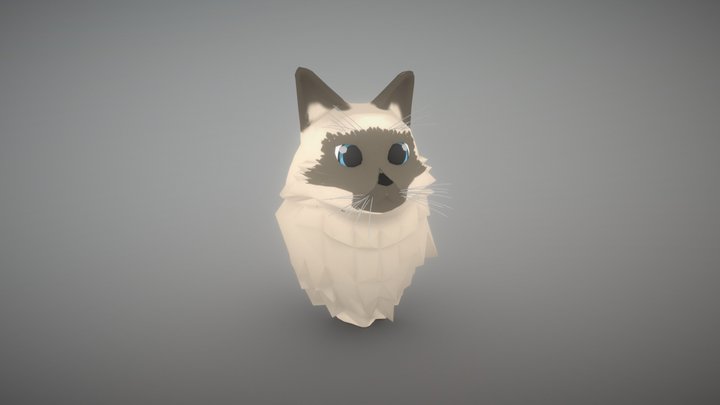 sdcvf 3D Model