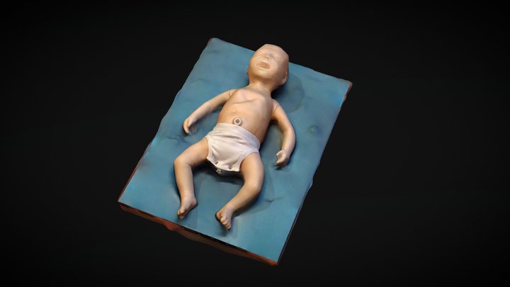 NINA Neonatal Simulator 3D Model