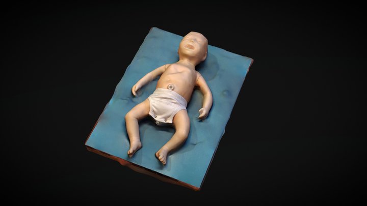 Neonatal 3D models - Sketchfab