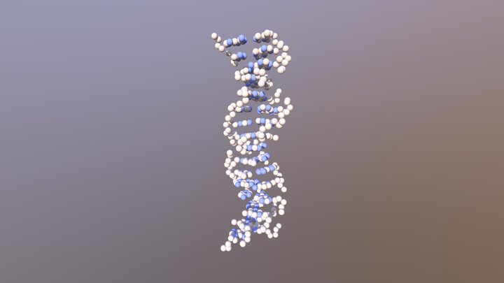 ADN-A 3D Model