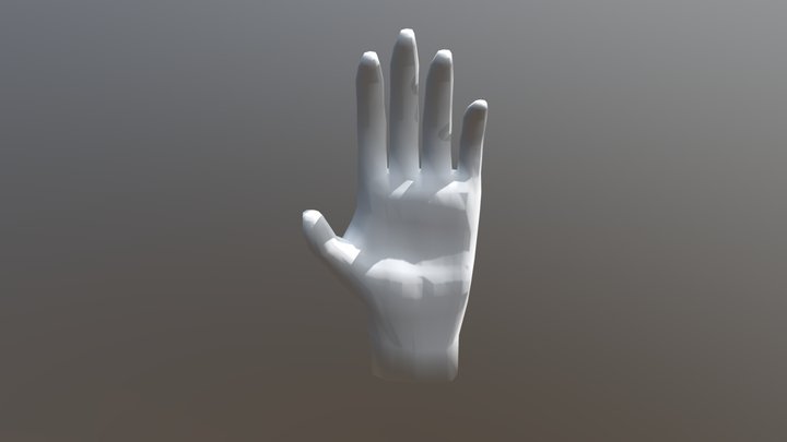 Model Hand 3D Model