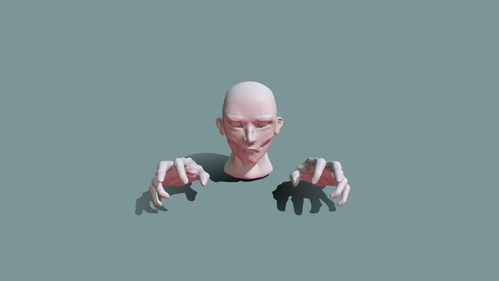 Practice Hand And Head 3D Model