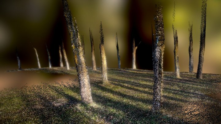 Trees 3D Model