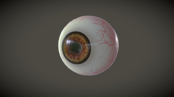 Simple human eye 3D Model