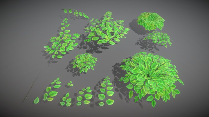 Hornbeam Branches (Low-Poly) 3D Model