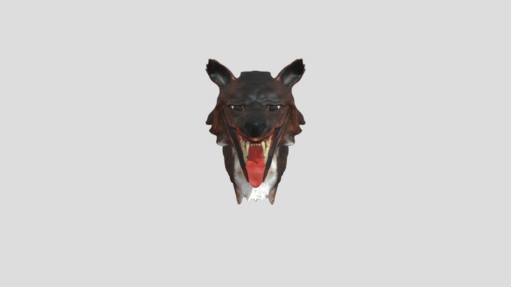 My model 3D Model