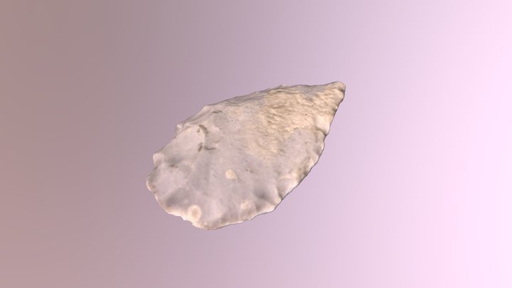 Modern Flint Arrowhead 3D Model