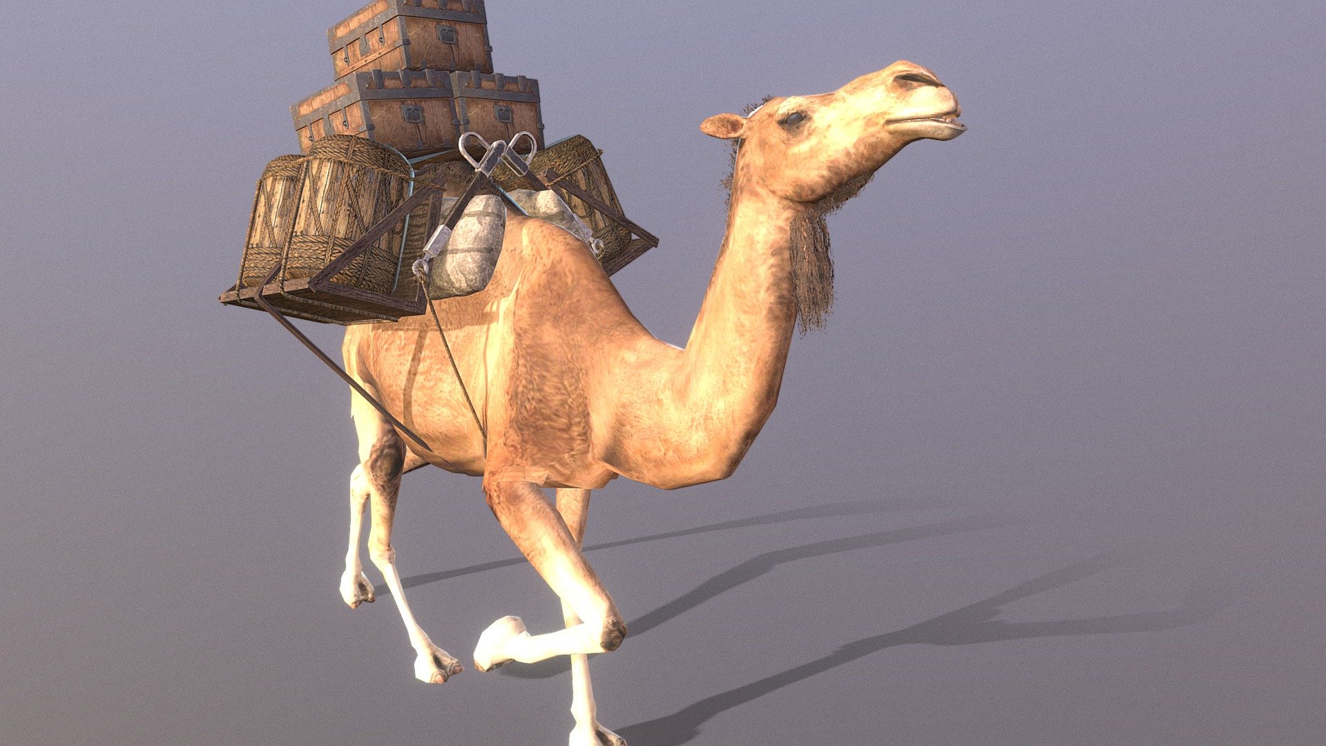 CAMEL RUN Fbx Pbr - 3D model by MEI TERUMEI (Curvy love ...