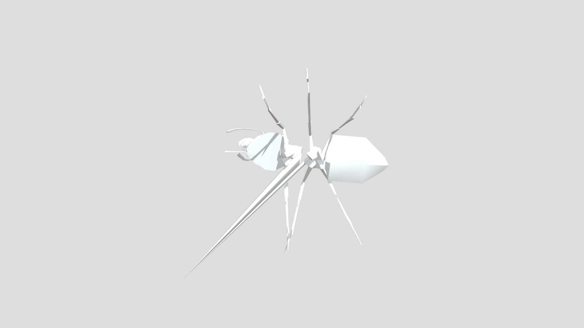 ant