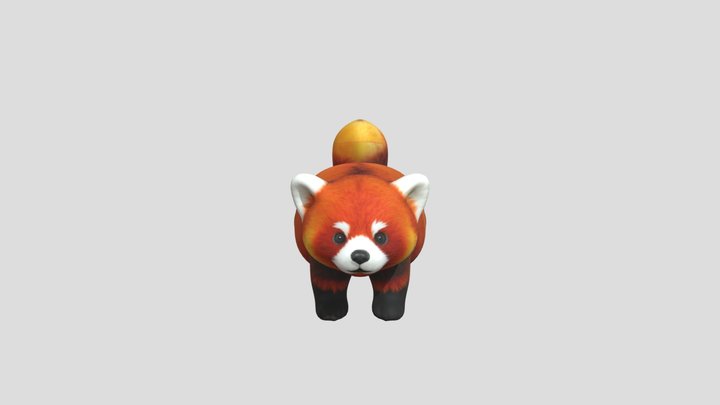 A Red Panda 3D Model
