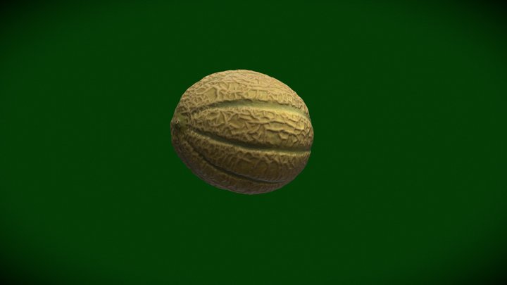 Photogrammetry Melon 3D Model