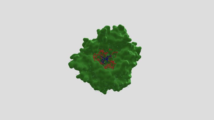 RGD Alpha Strictosidine 3D Model