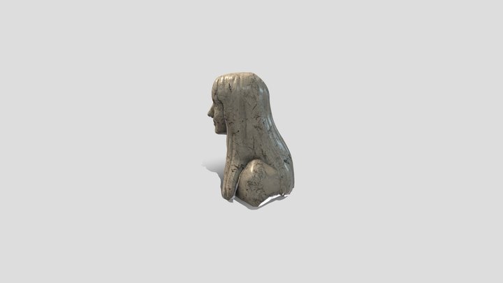 bust1 3D Model