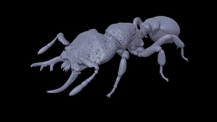 Protalaridris_armata – Kostenloses 3D-Modell STL