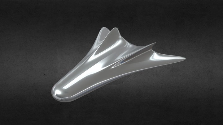 Spaceplane Test Print 1 3D Model