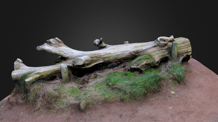 Tree Log 3D Model