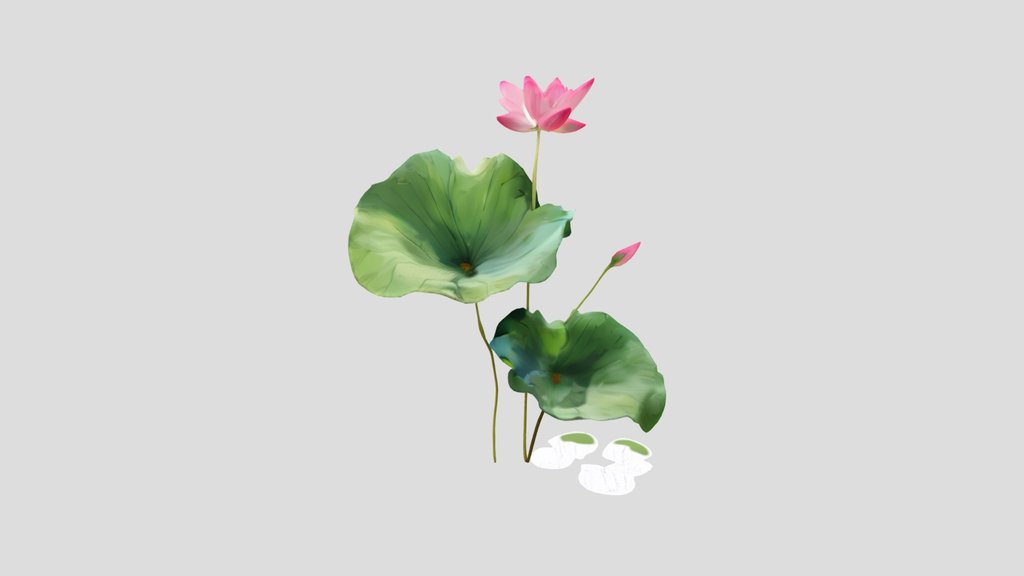 A cluster of blooming lotus plants