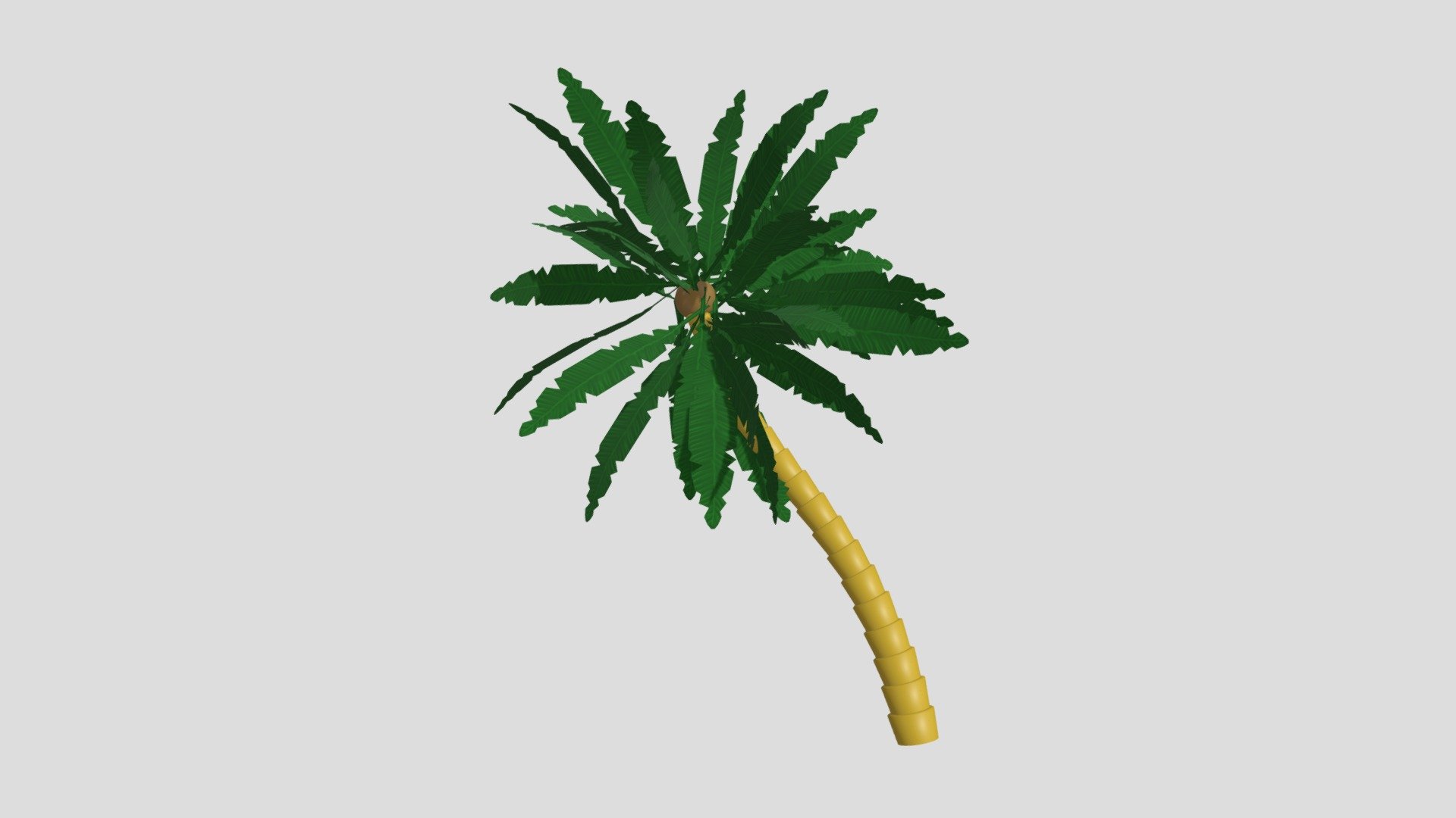 Palm Tree