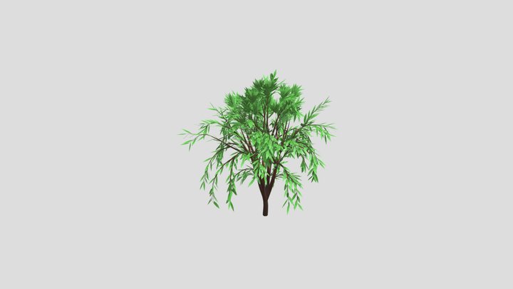 TREE 3D Model