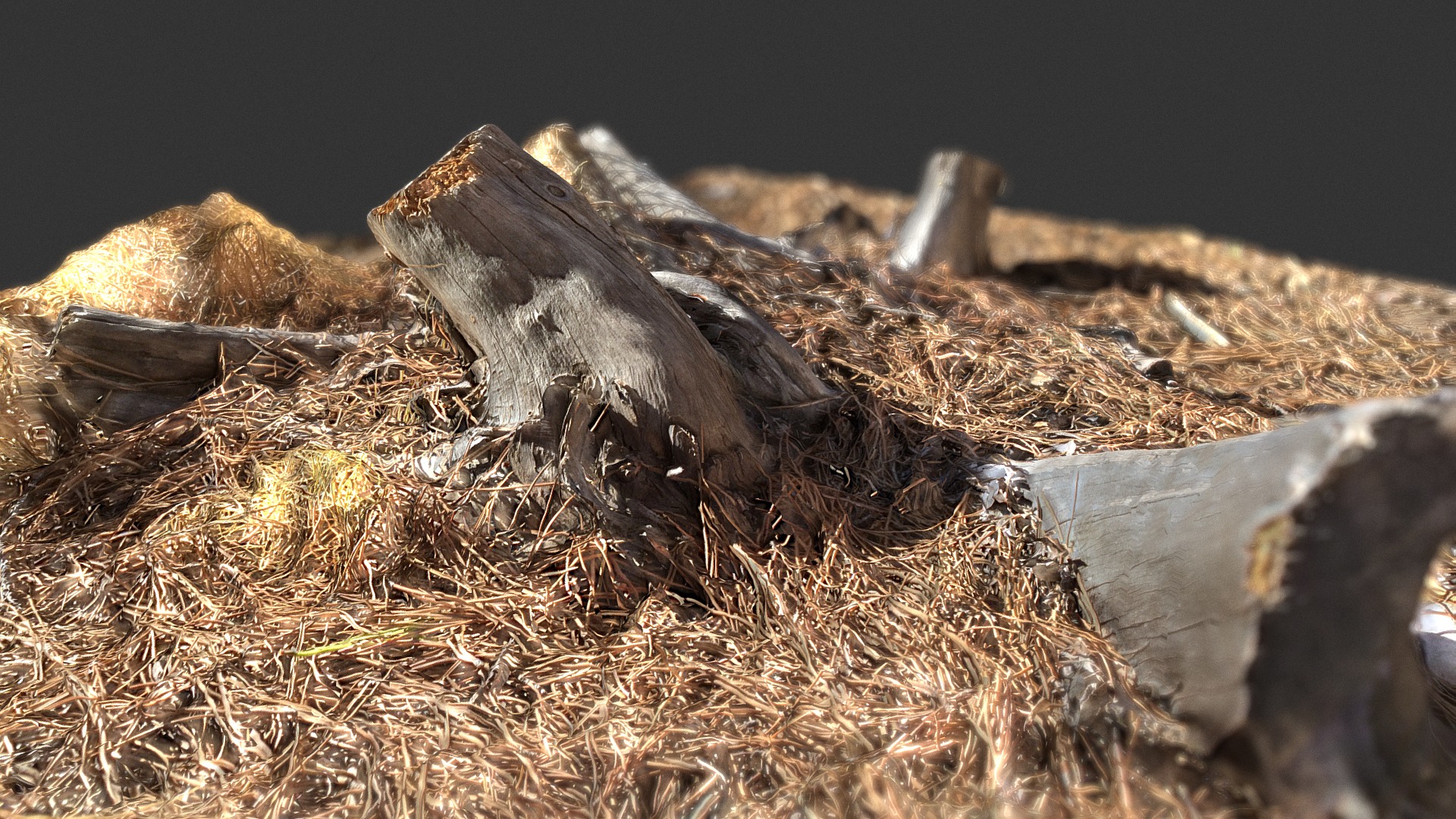 3D model Wood stump photo scan auto rotopology + normals - This is a 3D model of the Wood stump photo scan auto rotopology + normals. The 3D model is about a bird in a nest.
