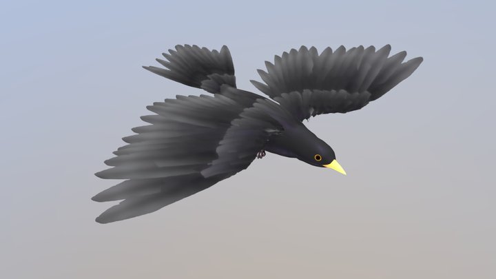 Black bird 3D Model