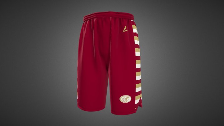 Basketball Shorts 3D Model