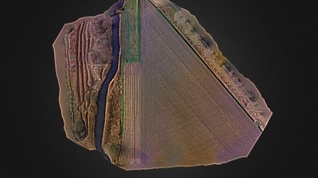 Hulstbis 3D Model