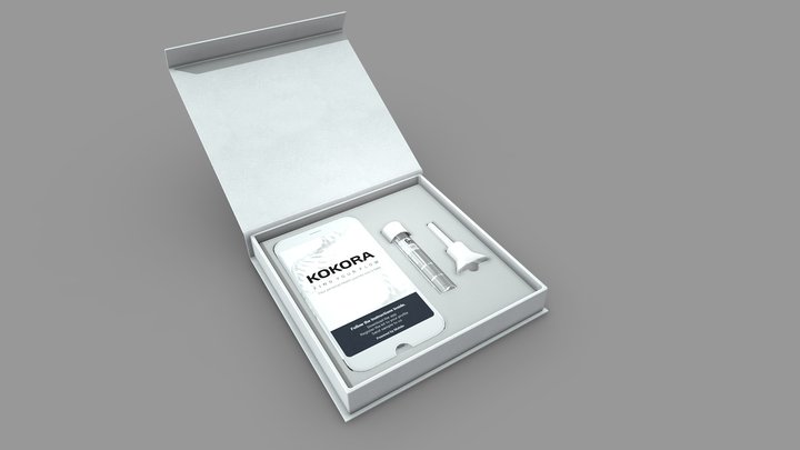 Kokora - DNA & Epigenetics Box Open 3D Model