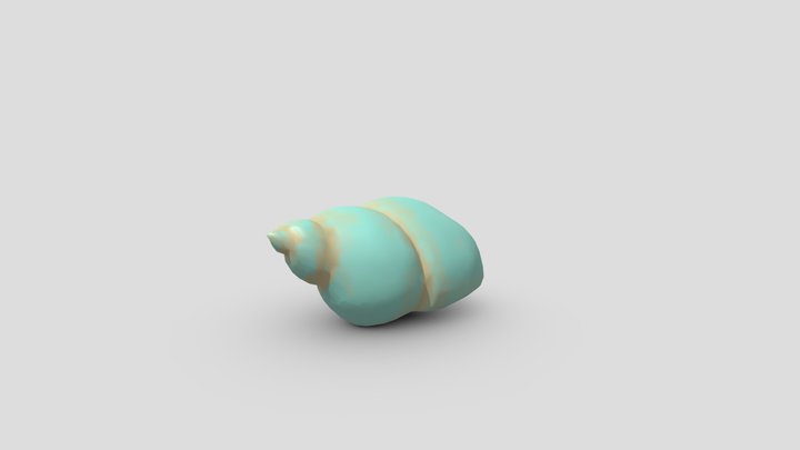 Shell_V002_LowPoly 3D Model