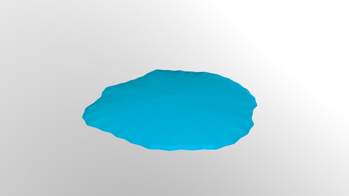 Low Poly Model for Water Puddles 3D Model