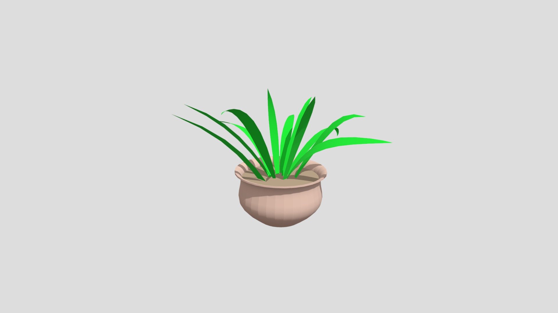 Potted Plant