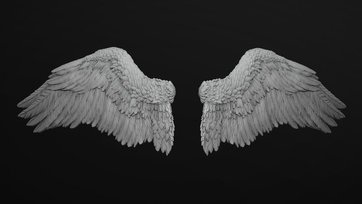 Wings 3d Printable 3D Model
