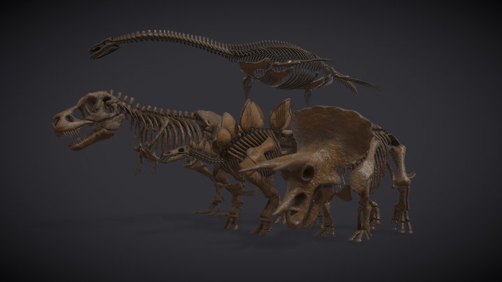 Stegosaurus 3D models - Sketchfab