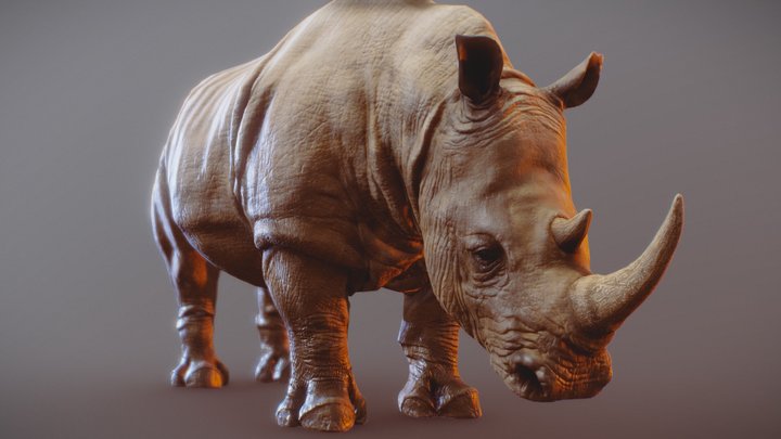Rhino 3D Model