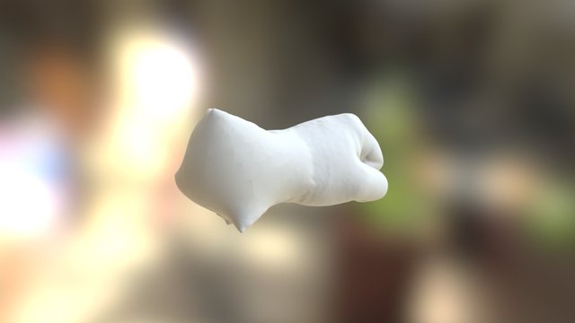 Fist 3D Model