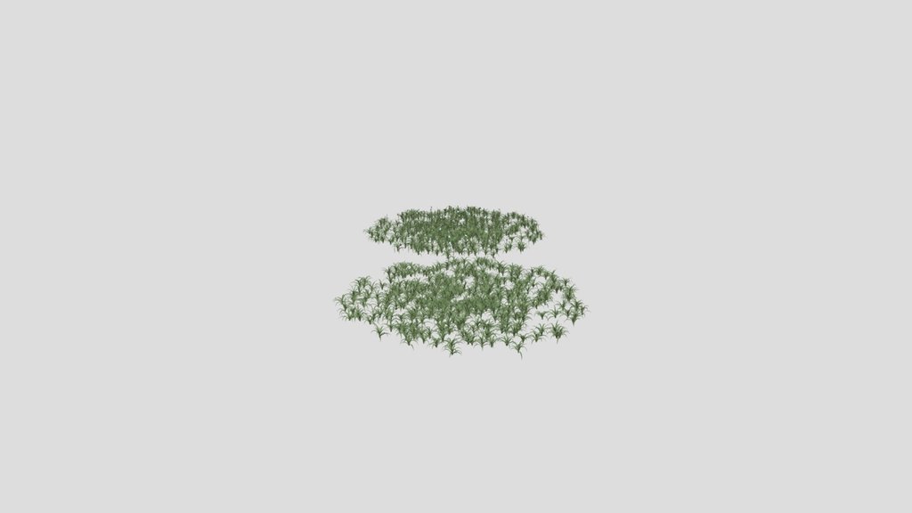 Grass