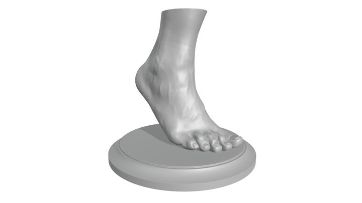 Feet - Foot - Paw 3D Model