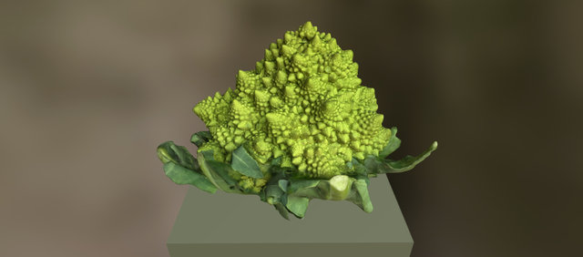 Romanesco Broccoli Photogrammetry 3D Model