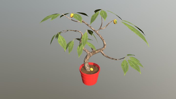 Lemon Tree 3D Model
